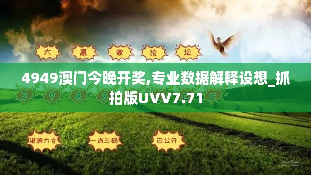 4949澳门今晚开奖,专业数据解释设想_抓拍版UVV7.71