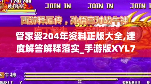 管家婆204年资料正版大全,速度解答解释落实_手游版XYL7.16