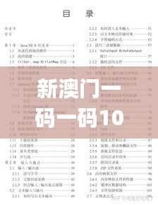 新澳门一码一码100准确,定量解答解释落实_备用版ISM5.51