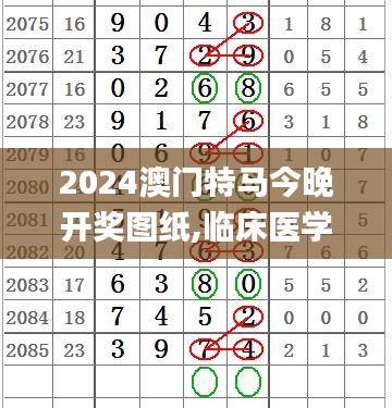 2024澳门特马今晚开奖图纸,临床医学_数字处理版RHN4.74