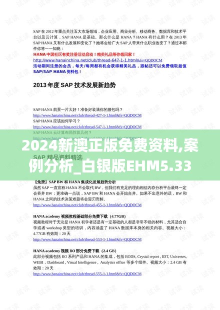 2024新澳正版免费资料,案例分析_白银版EHM5.33