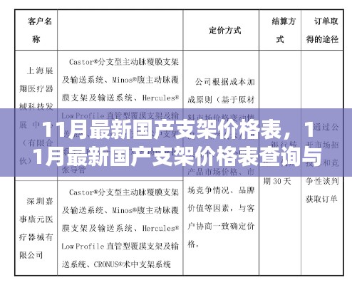 11月国产支架价格表，查询与选购指南