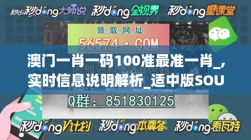 澳门一肖一码100准最准一肖_,实时信息说明解析_适中版SOU4.59