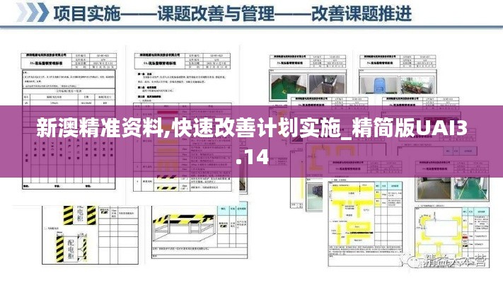 新澳精准资料,快速改善计划实施_精简版UAI3.14