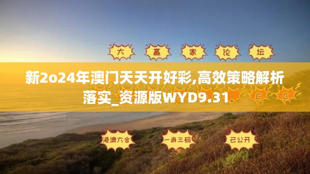 新2o24年澳门天天开好彩,高效策略解析落实_资源版WYD9.31