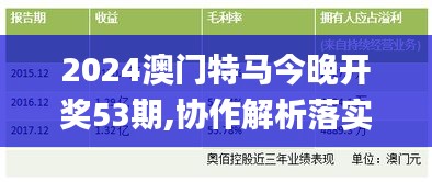 2024澳门特马今晚开奖53期,协作解析落实路径_习惯版BUW7.27