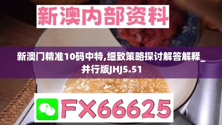 新澳门精准10码中特,细致策略探讨解答解释_并行版JHJ5.51