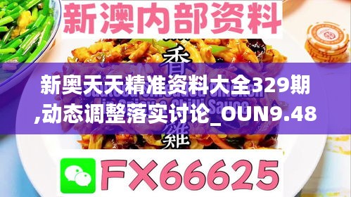 新奥天天精准资料大全329期,动态调整落实讨论_OUN9.48