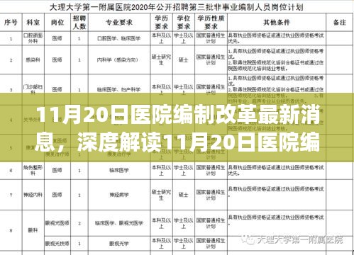 深度解读，医院编制改革最新动态及分析——特性、体验、竞争与用户群体洞察（最新消息）