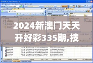 2024新澳门天天开好彩335期,技巧执行解答解释_FTP5.22