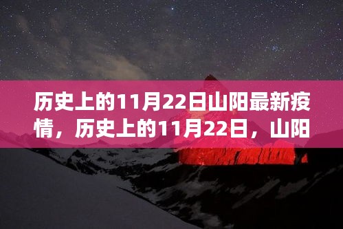 历史上的11月22日山阳疫情演变与防控策略最新动态