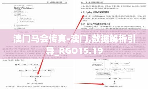 澳门马会传真-澳门,数据解析引导_RGO15.19