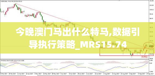 今晚澳门马出什么特马,数据引导执行策略_MRS15.74