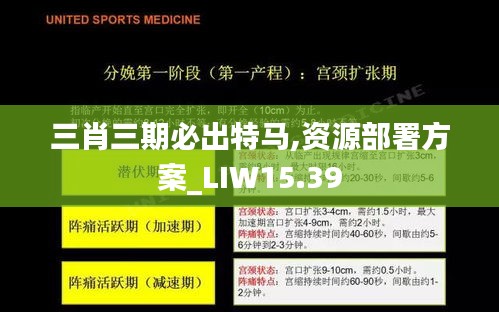 三肖三期必出特马,资源部署方案_LIW15.39