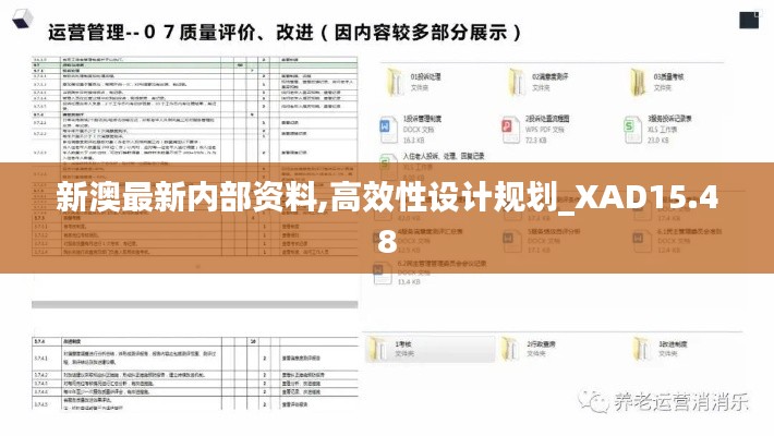 新澳最新内部资料,高效性设计规划_XAD15.48