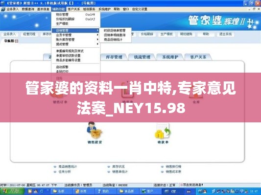 管家婆的资料一肖中特,专家意见法案_NEY15.98