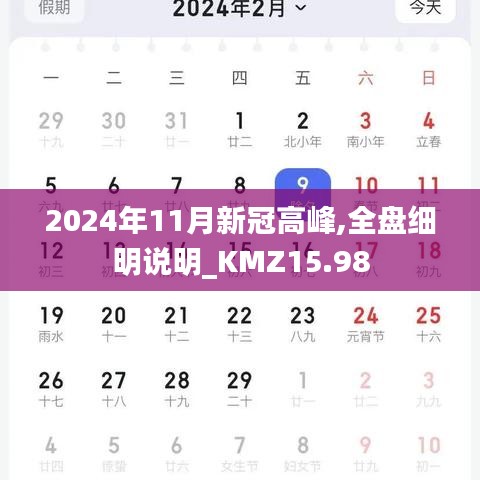 2024年11月新冠高峰,全盘细明说明_KMZ15.98