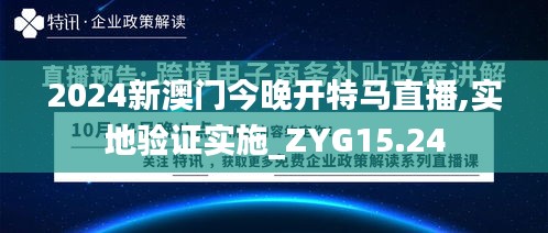 2024新澳门今晚开特马直播,实地验证实施_ZYG15.24