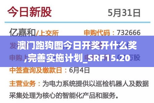 澳门跑狗图今日开奖开什么奖,完善实施计划_SRF15.20