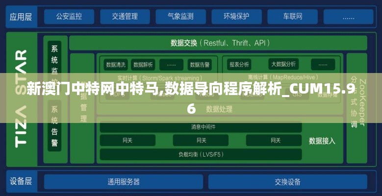 新澳门中特网中特马,数据导向程序解析_CUM15.96