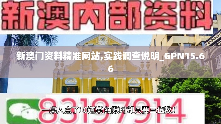 新澳门资料精准网站,实践调查说明_GPN15.66