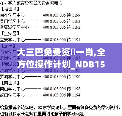 大三巴免费资枓一肖,全方位操作计划_NDB15.44