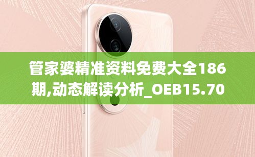 管家婆精准资料免费大全186期,动态解读分析_OEB15.70