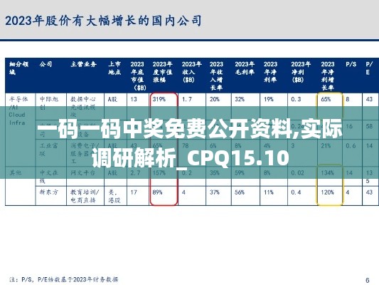 一码一码中奖免费公开资料,实际调研解析_CPQ15.10