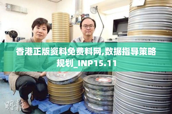 香港正版资料免费料网,数据指导策略规划_INP15.11