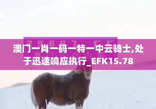 澳门一肖一码一特一中云骑士,处于迅速响应执行_EFK15.78