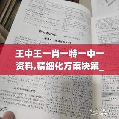 王中王一肖一特一中一资料,精细化方案决策_FGK15.90