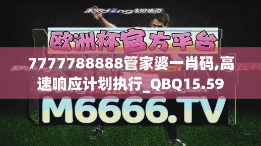 7777788888管家婆一肖码,高速响应计划执行_QBQ15.59