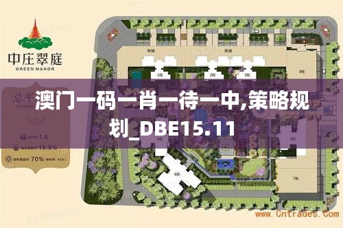 澳门一码一肖一待一中,策略规划_DBE15.11