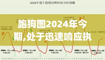 跑狗图2024年今期,处于迅速响应执行_PXJ15.60