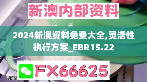 2024新澳资料免费大全,灵活性执行方案_EBR15.22