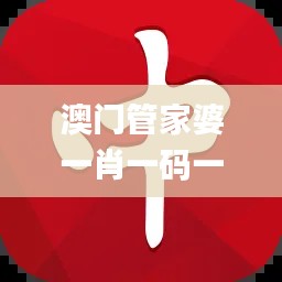 澳门管家婆一肖一码一特,决策支持方案_NVH15.41