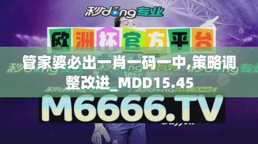 管家婆必出一肖一码一中,策略调整改进_MDD15.45