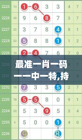 最准一肖一码一一中一特,持续性实施方案_MVG15.62