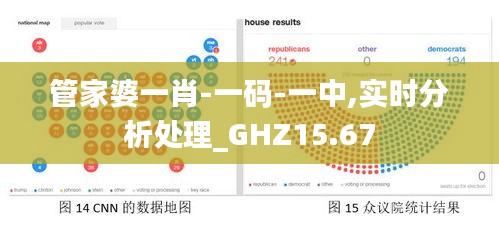 管家婆一肖-一码-一中,实时分析处理_GHZ15.67