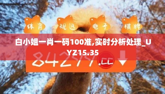 白小姐一肖一码100准,实时分析处理_UYZ15.35