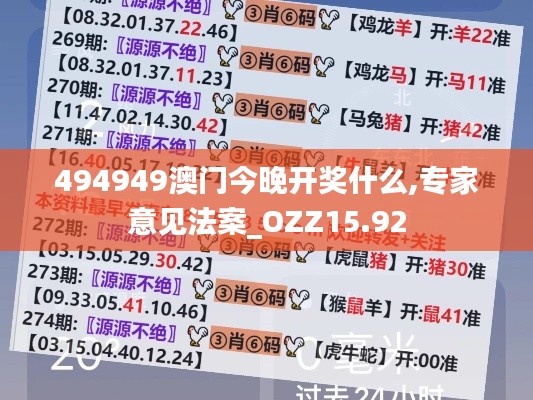 494949澳门今晚开奖什么,专家意见法案_OZZ15.92