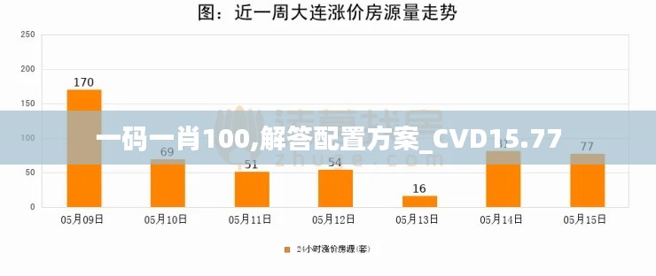 一码一肖100,解答配置方案_CVD15.77