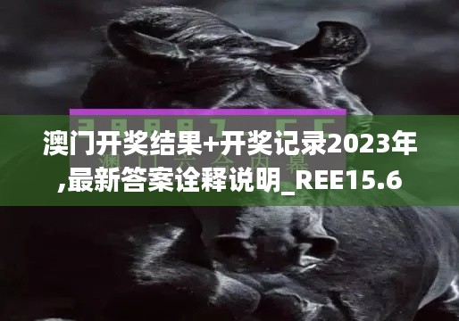 澳门开奖结果+开奖记录2023年,最新答案诠释说明_REE15.6