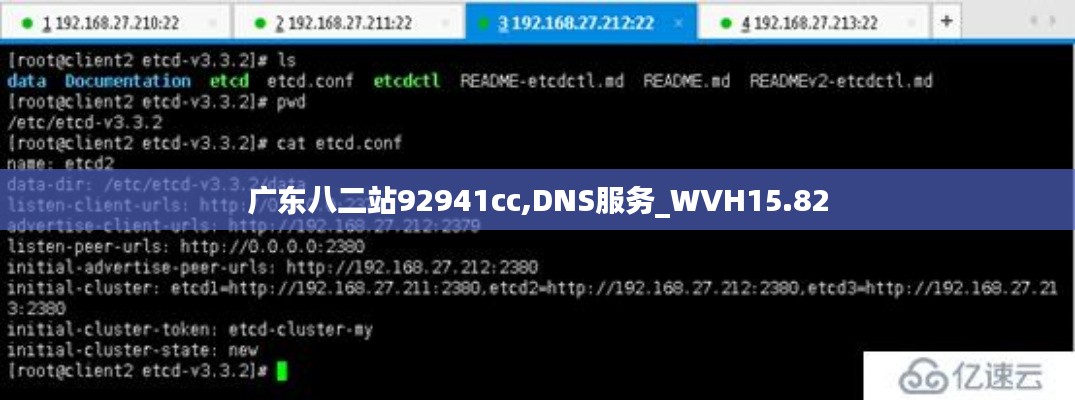 广东八二站92941cc,DNS服务_WVH15.82