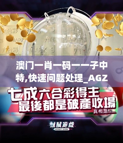 澳门一肖一码一一子中特,快速问题处理_AGZ15.85