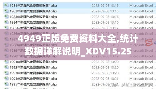 4949正版免费资料大全,统计数据详解说明_XDV15.25