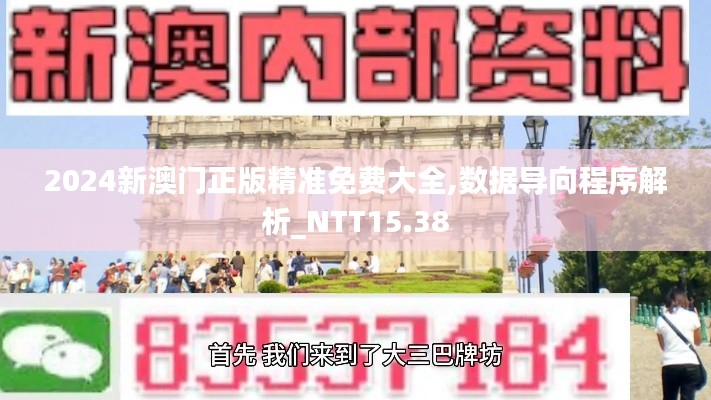 2024新澳门正版精准免费大全,数据导向程序解析_NTT15.38