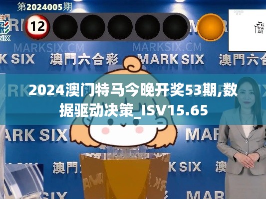 2024澳门特马今晚开奖53期,数据驱动决策_ISV15.65