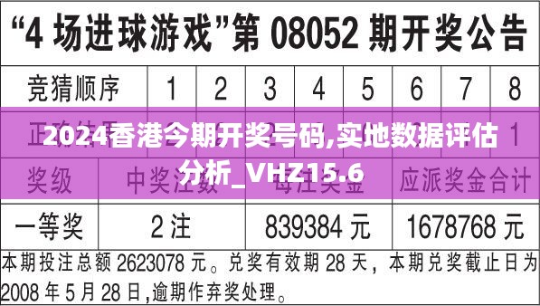 2024香港今期开奖号码,实地数据评估分析_VHZ15.6