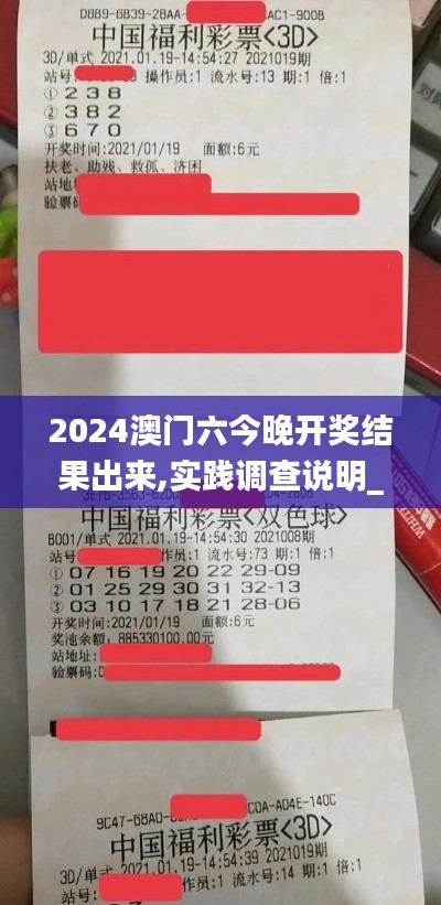 2024澳门六今晚开奖结果出来,实践调查说明_CSE15.48